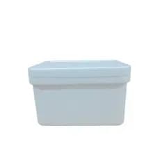 Caixa Térmica EPS 2,5L (2000 gr) – Isopor para Alimentos e Vacinas  Kit com 30 Unidades