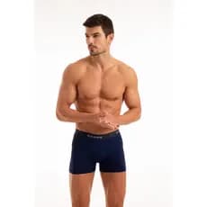 Kit com 6 Cuecas Boxer Microfibra Forro 100% algodão Box P ao GG Lisas Masculino original