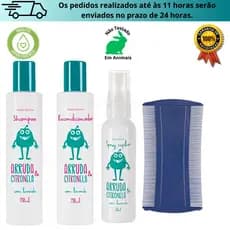 Shampoo Mata piolhos e lêndeas Arruda e Citronela Abelha Rainha Kit  Recondicionador Spray e Pente