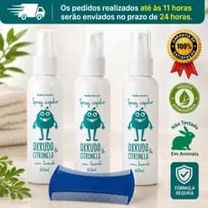 Kit Pente Fino + Spray Mata Piolhos e Lêndeas Arruda e Citronela Abelha Rainha 60ml Antipiolho Infantil