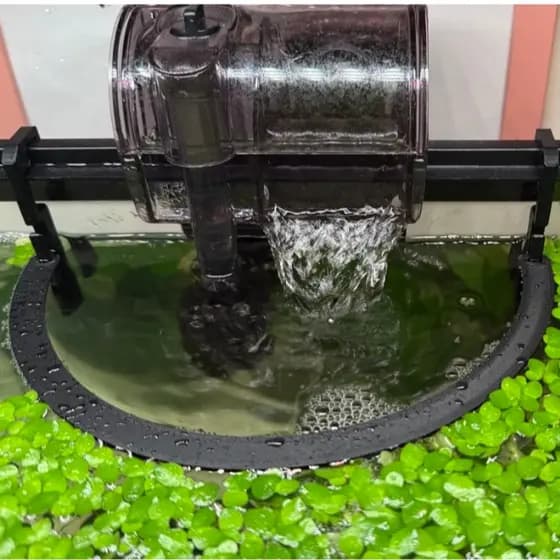 Anel Flutuante  Aquário Separador de Plantas Filtro Hang On  Plantado  Salvinia Pistia