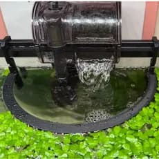 Anel Flutuante  Aquário Separador de Plantas Filtro Hang On  Plantado  Salvinia Pistia