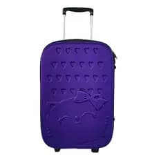 Mala De Bordo Mão Viagem Anac Modelo Pequeno 10kg Gatinha