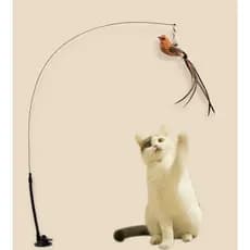 Brinquedo Gato Varinha Pássaro Com Ventosa Fixa Chao Parede PRONTA ENTREGA Pet Cachorro Cama Racao Caes Brincar Sozinho Animais de estimação areia