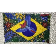 Canga De Praia Saida De Praia Feminina Unissex Poliéster Bandeira do Brasil Tropical Araras