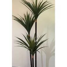 Yucca Artificial