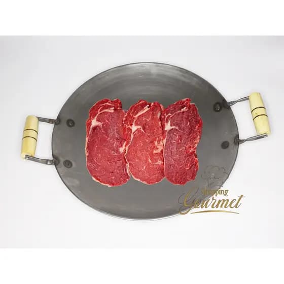 Tacho Disco 38cm Tipo Arado Em Aço Carbono Para Fogões Fogareiro Fogão de Lenha