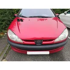 Emblema Leão Peugeot 206 Grade Frontal Original – Logotipo Cromado de Reposição Moderna