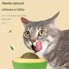 Bola de abacate e hierba do gato, brinquedo , bastão para morder dentes, astrogalo de ácerola