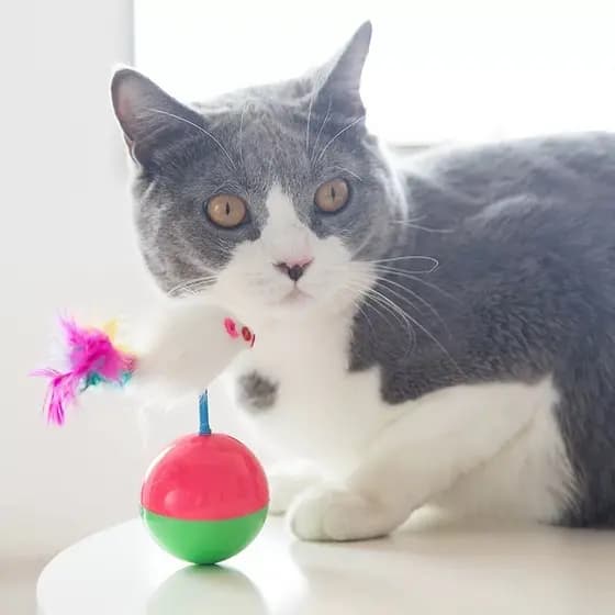 Brinquedo Rato João Bobo