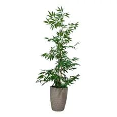 Planta Artificial Bambu Da Sorte Vaso Areia Grande 165cm.
