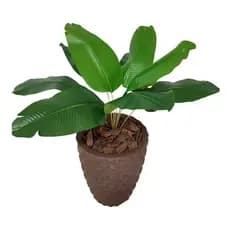 Planta Artificial Mini Bananeira Realista + Vaso 3d Marrom