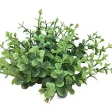 Pick De Eucalipto Folhagem Artificial 6 Ramos Vaso Cachepot