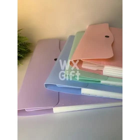 Pasta Arquivo A4 com 5 Divisórias - Interponte / WX Gift