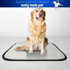 kit 4 tapete higiênico cachorro G, TAM.. 100 X 80,lavável, reutilizável para pets.