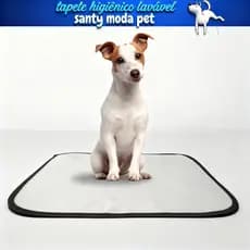 Tapete higiênico lavável para cães M, Tam. 60 x 80 cm, reutilizável O1 UNI, Durável, Alta Absorção. tapete para pets.