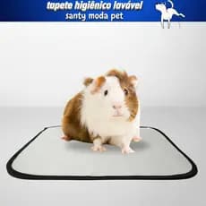 tapete higiênico lavável M, porquinho da índia, hamster, coelho/ pets tam. 60 x 80, 01 Un.