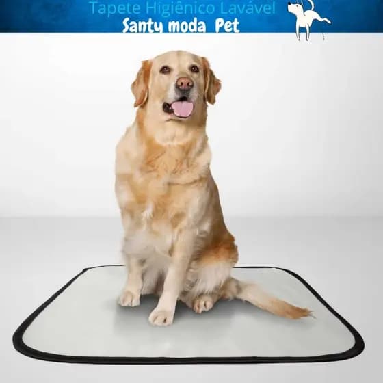 kit 3 tapete higiênico cães G, tam. 100 x 80, lavável, impermeável, reutilizável não vaza xixi.
