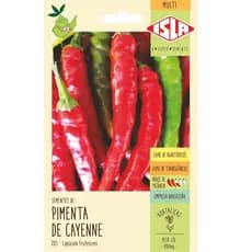 Semente de Pimenta Caiena Isla 0,25G Pronto Entrega