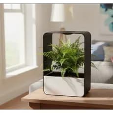Vaso Autoirrigável Decorativo Moderno para Plantas com Reservatório Inferior Design Minimalista para Sala Escritório