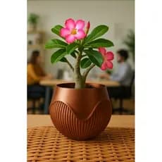 Vaso Decorativo Cachepô Moderno para Plantas Naturais ou Artificiais Decoração Minimalista Casa