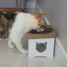 Comedouro Bebedouro Elevado Gato Pet MDF Linha Premium
