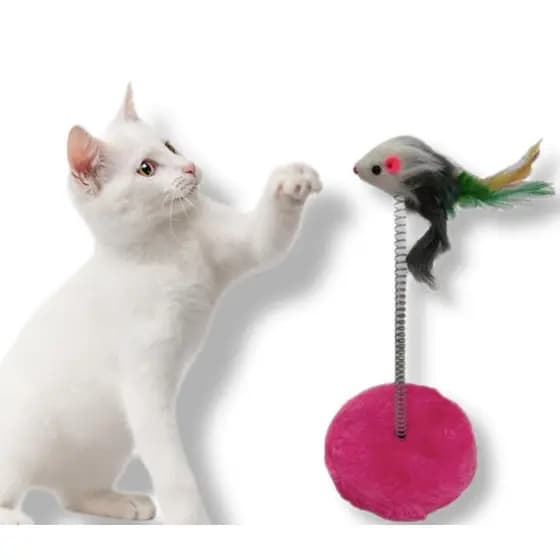 Brinquedo Para Gatos Mola Ratinho Com Pena Para Gatos