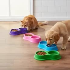 KIT 20 Comedouro Bebedouro Para Cães Atacado Colorido Duplo