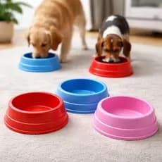 Kit 48 Comedouros Para Cães Gatos Pet 4 Tamanhos Atacado