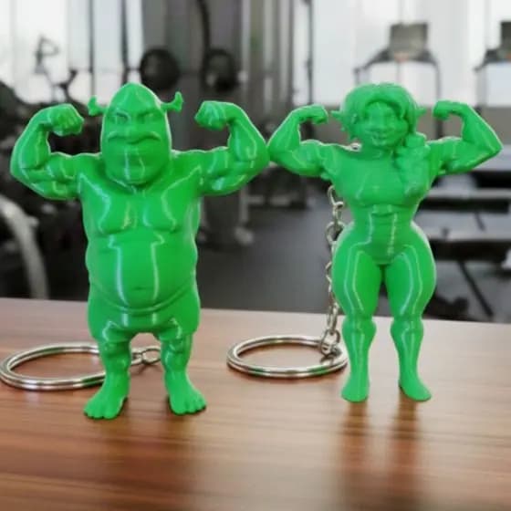 CHAVEIRO FITNESS SHREK E FIONA ( CASAL FITNESS)