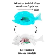 Brinquedo Kit De Dissecação Piranha Super Lab Dissect-it Grande - Candide
