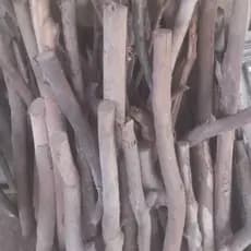 QUEIMA DE ESTOQUE, KIT COM 16 GALHOS RUSTICOS DE EUCALIPTO, COM TAMANHOS E CIRCUNFERENCIAS VARIADAS