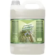 Cheirinho Aromatizante Eucalipto Top Premium - 5 Lts