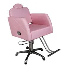 Cadeira Nexus Reclinável Para Salão De Beleza Rosa BB