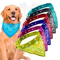 Coleira para Cachorro Bandana Cachorros De Pequeno Médio Porte Diversos Tamanhos e Cores