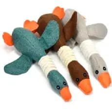 Brinquedo Ganso Resistente De Pelúcia Pet Para Cães Shitzu Pequeno e Médio Porte Premium