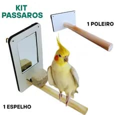Espelho com poleiro para calopsita  Brinquedo aves com pedra de cálcio  Acessório gaiola de pássaros