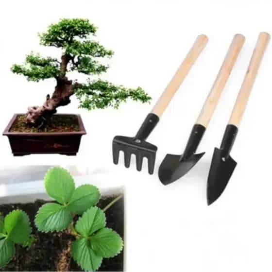 Mini Kit Jardinagem 3 Peças Cabo De Madeira Pá Ancinho para Vasos Terrarios