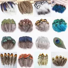 10pcs Penas De Animais , Usado Para Decoração De festival E manual DIY , Marcas De Livros Casa