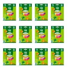 KIT 12 CAIXINHAS LAPIS DE COR MINI ECO IDEAL PARA PERSONALIZADOS DE FESTA LEMBRANCINHAS - LEONORA