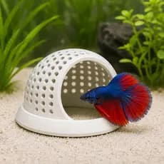 Esconderijo Para Peixe Betta Aquário Toca Casinha Plástico Atóxico Decoração Fundo Areia Cascalho, acessórios para peixe