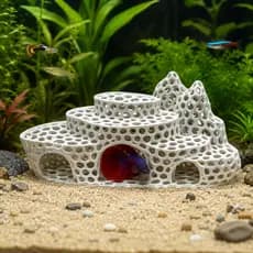 Toca Esconderijo para Peixe Betta Decoração de Aquário Casinha, acessórios para peixes e aquário, casinha.