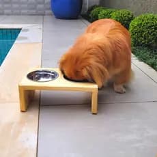 Comedouro Alimentador Pequeno Bebedouro Elevado Ração Cachorro Gato Pet Suporte Pote Inox Madeira Pets