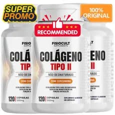 Colágeno Tipo 2 Não Hidrolisado com Curcuma 120 Cápsulas Suplemento Alimentar  Fisiocult