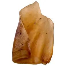 Orelha Bovina BeefBone Mordedor Natural Pet Snack Super Premium Cachorros Cães