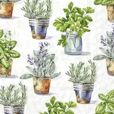 Guardanapo para Decoupage Ihr 33x33 Ervas Aromaticas C/ 20 Unidade