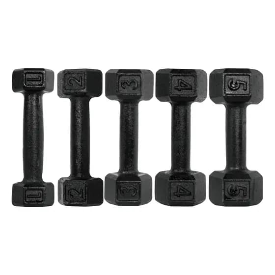 Halter Sextavado Pintado 1 a 5kg Dumbbell Peso de Academia Musculação Pesinho Treino Em Casa Fitness