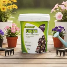 Fertilizante Adubo Forth Jabuticabeiras 400g Jabuticabeira
