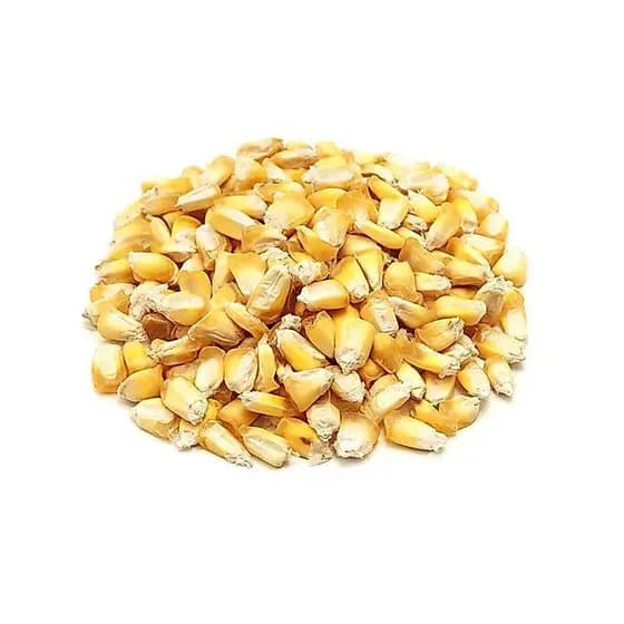 Milho Grâo  chuspillo  1 kilo produto peruano semente y cozhinar