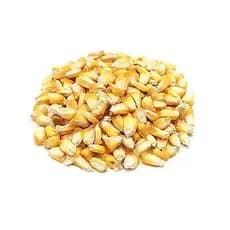 Milho Grâo  chuspillo  1 kilo produto peruano semente y cozhinar
